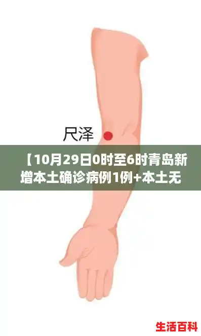 【10月29日0时至6时青岛新增本土确诊病例1例+本土无症状感染者3例,青岛新增1例本土确诊病例是哪里的】 【10月29日0时至6时青岛新增本土确诊病例1例+本土无症状感染者3例,青岛新增1例本土确诊病例是哪里的】