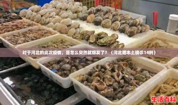 对于河北的此次疫情,是怎么突然就爆发了?(河北增本土确诊14例) 对于河北的此次疫情,是怎么突然就爆发了?(河北增本土确诊14例)