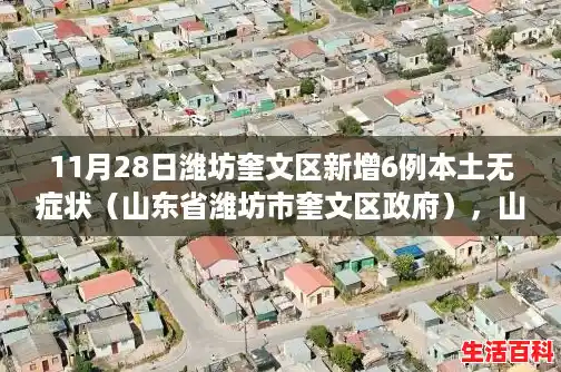 11月28日潍坊奎文区新增6例本土无症状(山东省潍坊市奎文区政府),山东新增本土确诊88例 11月28日潍坊奎文区新增6例本土无症状(山东省潍坊市奎文区政府),山东新增本土确诊88例