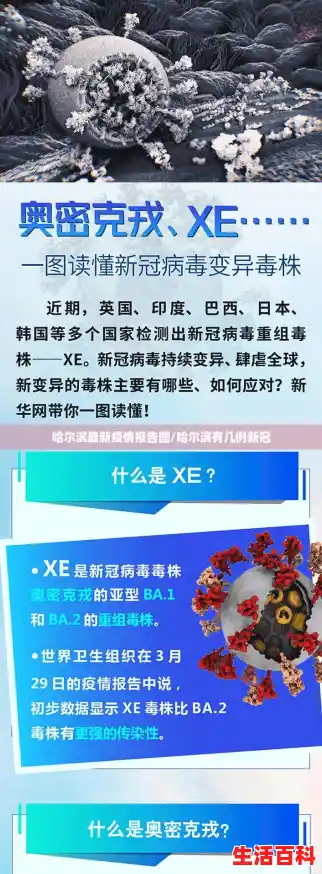 哈尔滨最新疫情报告图/哈尔滨有几例新冠 哈尔滨最新疫情报告图/哈尔滨有几例新冠