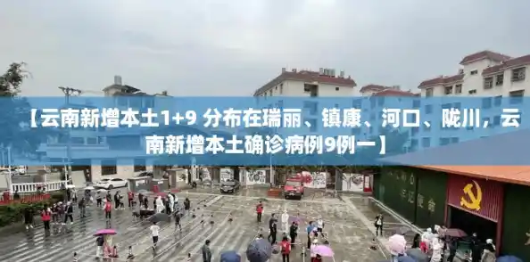 【云南新增本土1+9 分布在瑞丽、镇康、河口、陇川，云南新增本土确诊病例9例一】