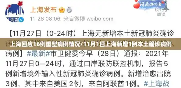 上海回应16例重型病例情况/11月1日上海新增1例本土确诊病例 上海回应16例重型病例情况/11月1日上海新增1例本土确诊病例