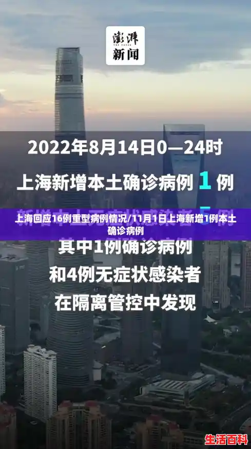 上海回应16例重型病例情况/11月1日上海新增1例本土确诊病例 上海回应16例重型病例情况/11月1日上海新增1例本土确诊病例