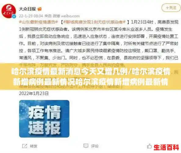哈尔滨疫情最新消息今天又增几例/哈尔滨疫情新增病例最新情况哈尔滨疫情新增病例最新情况轨迹