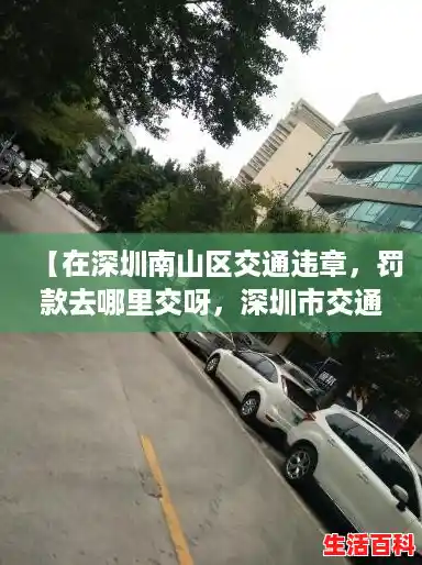 【在深圳南山区交通违章，罚款去哪里交呀，深圳市交通违章怎么缴费】