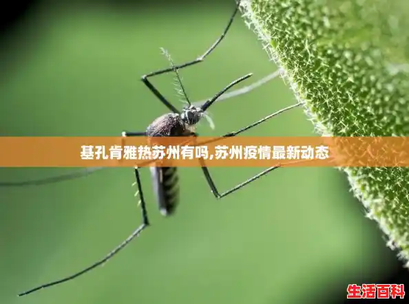 基孔肯雅热苏州有吗,苏州疫情最新动态