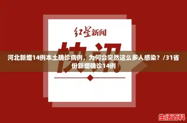 河北新增14例本土确诊病例，为何会突然这么多人感染？/31省份新增确诊14例