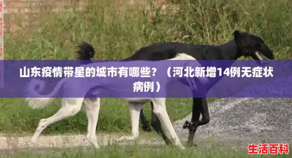 山东疫情带星的城市有哪些?(河北新增14例无症状病例) 山东疫情带星的城市有哪些?(河北新增14例无症状病例)