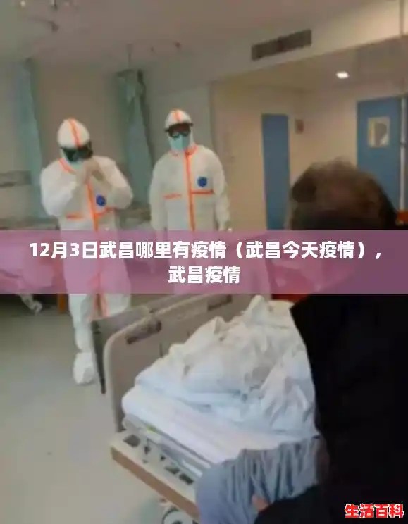 12月3日武昌哪里有疫情（武昌今天疫情），武昌疫情