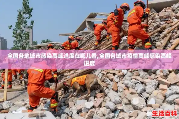 全国各地城市感染高峰进度在哪儿看,全国各城市疫情高峰感染高峰进度