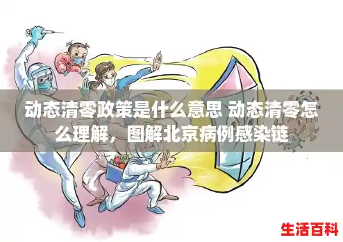 动态清零政策是什么意思 动态清零怎么理解，图解北京病例感染链