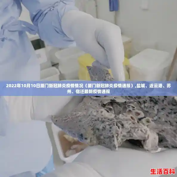 2022年10月10日厦门新冠肺炎疫情情况（厦门新冠肺炎疫情通报）,盐城、连云港、苏州、宿迁最新疫情通报