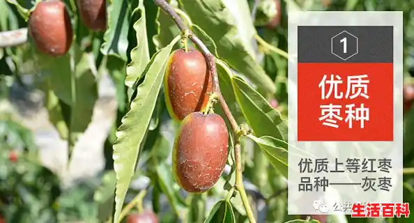 疫情为什么又突然爆发？（喀什疫情或与气温有关）