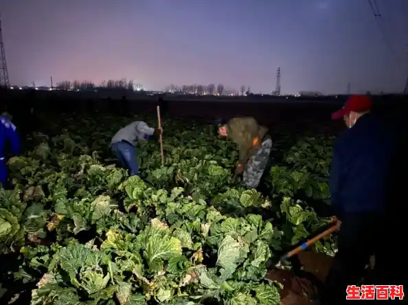 北京顺义阳性轨迹/北京顺义全区农村封了吗