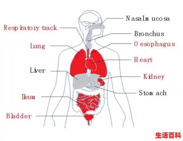 冷冻海鲜/肉类进口被检出携带病毒惩罚措施来了（新冠上海新增本地）