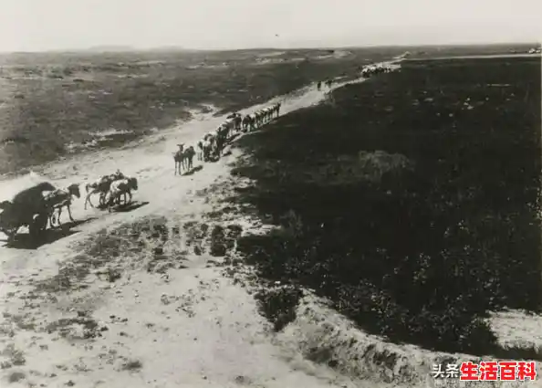 【林西疫情两口子处罚了吗，内蒙古发现一例阳性】