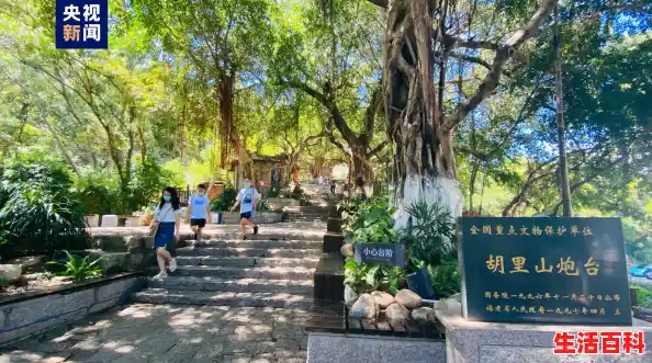 福建最新疫情报告，31省新增本土确诊43例均在福建，31省新增24例确诊