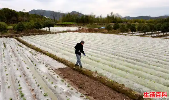 【31省份新增本土确诊69例，浙江56例，为何浙江疫情较为严重？，浙江疫情主要在哪里】