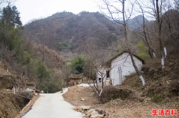 Win11黑夜模式在哪开启Win11黑夜模式怎么开启,Win11黑暗模式