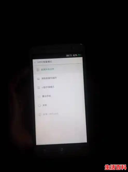 oppo手机专用杀毒软件oppo手机用什么杀毒软件好，手机管家下载 手机安全助手保护手机安全