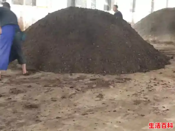 【更换固态硬盘后电脑能快多少老电脑更换固态硬盘之后速度就会变快是真的吗,液态硬盘怎么加固态硬盘】 【更换固态硬盘后电脑能快多少老电脑更换固态硬盘之后速度就会变快是真的吗,液态硬盘怎么加固态硬盘】