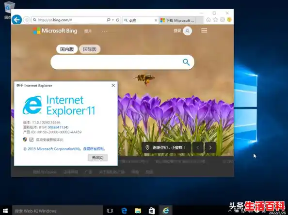 win7系统装什么浏览器好用？/哪个浏览器最好用