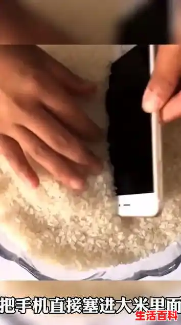 手机进水急救方法,手机进水急救方法