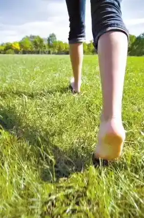 下雨天湿气厉害，手机进水了应该如何妥善处理？，手机进水急救方法