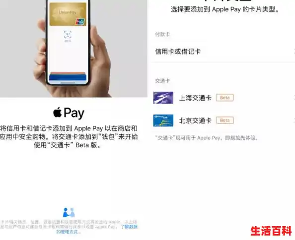 苹果手机nfc功能在哪里/手机上出现一个NFC是什么意思啊？