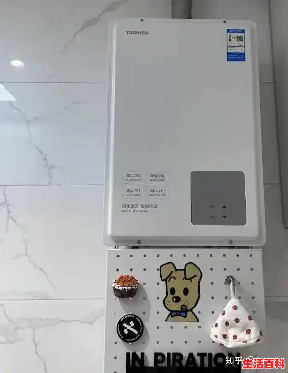 东芝天燃气热水器是国产品牌吗,toshiba品牌背景和产品特点