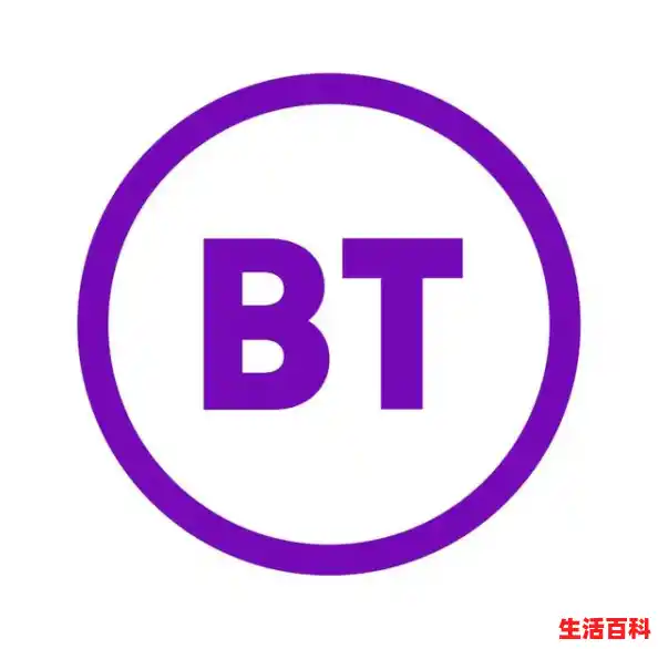 BT是什么/BT