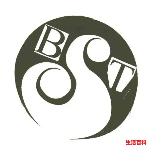 BT是什么/BT