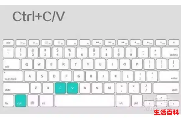 电脑如何进行复制粘贴？（电脑快捷键复制粘贴用不了）