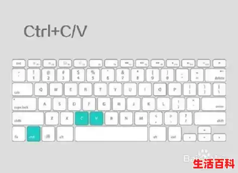 【怎么复制粘贴电脑快捷键，电脑快捷键复制ctrl加什么】